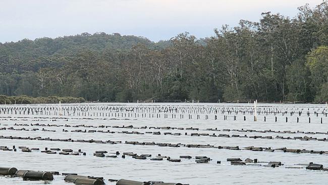 Police investigated oyster leases from Batemans Bay to Eden. Picture: NSW Police