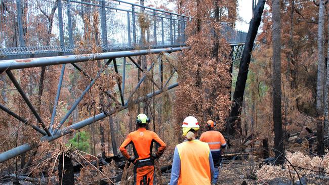 Sustainable Timbers Tasmania and the Tahune Adventures team spent more than a year preparing the site so it could be reopened. Picture: SUSTAINABLE TIMBER TASMANIA