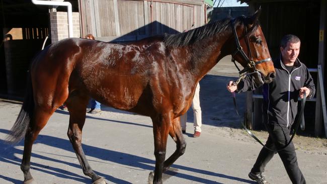 Winx finished fourth in a barrier trial at Randwick on Friday.