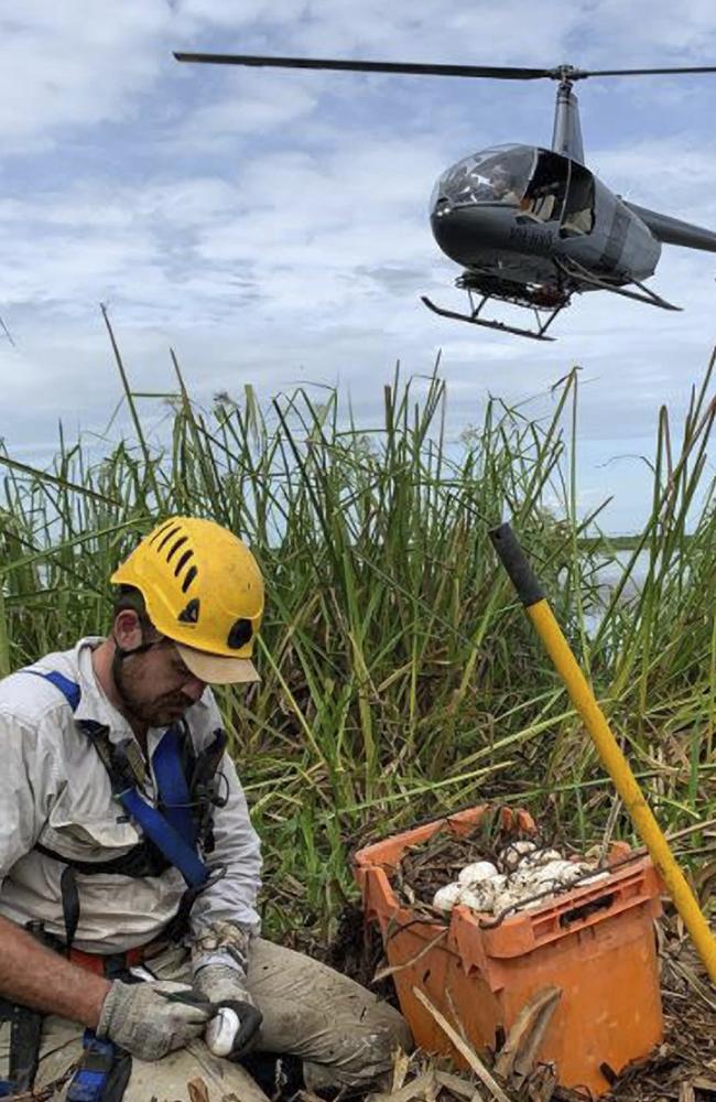 Remote Helicopters Australia director and chief pilot Michael Burbidge has been charged over the chopper crash that killed Outback Wrangler cast member Chris ‘Willow’ Wilson. Pictured here is Wilson in the foreground and behind him a chopper, piloted by Burbridge.