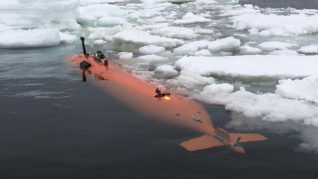 More than 250 people from 25 nations will meet in Hobart next week for the first-ever global conference of the Southern Ocean Observing System. Photo: Filip Stedt of the University of Gothenburg