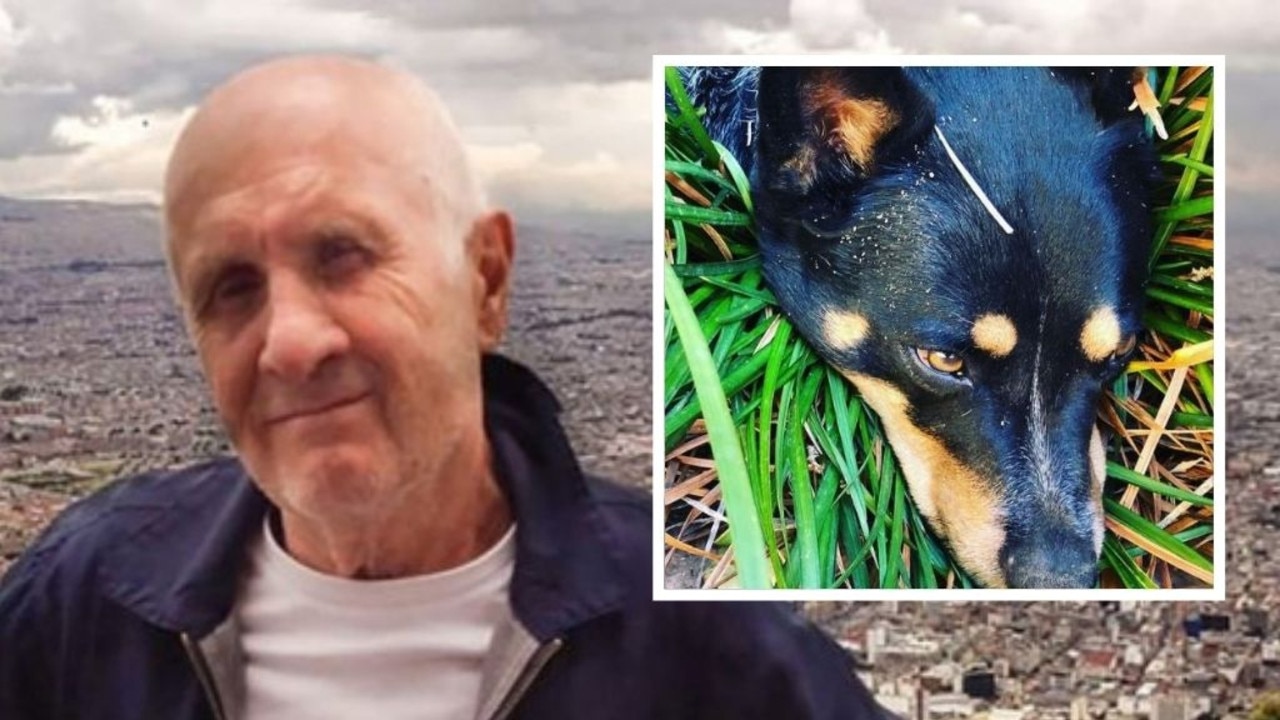 Mick Brigden dead at 73: Rock icon killed while digging grave for pet dog | news.com.au — Australia&#39;s leading news site