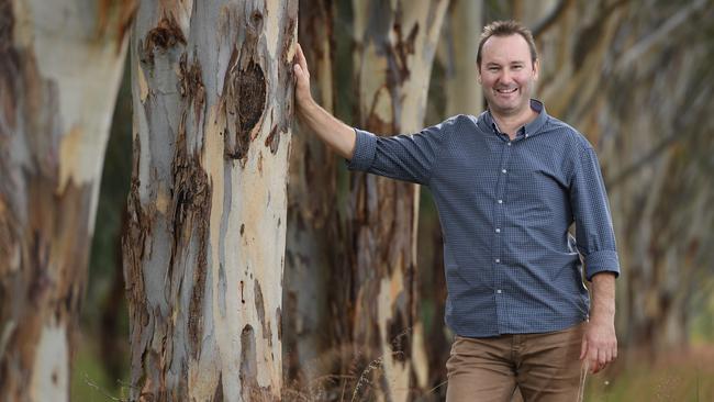 Gum tree lover Dean Nicolle, who has an arboretum at Currency Creek where he has almost all known eucalypt species. Picture: Naomi Jellicoe