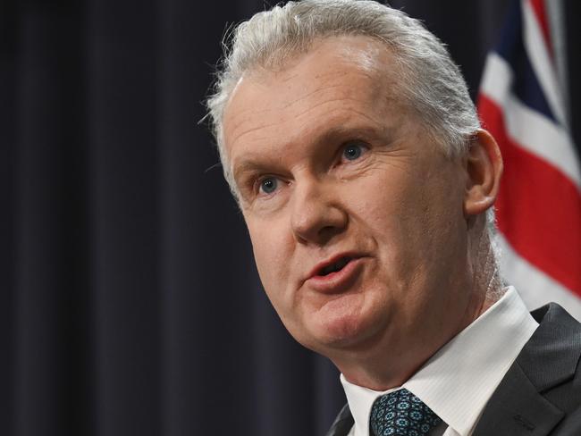 CANBERRA, Australia - NewsWire Photos - July 17, 2024: Employment and Workplace Relations Minister, Tony Burke holds a press conference at Parliament House in Canberra. Picture: NewsWire / Martin Ollman