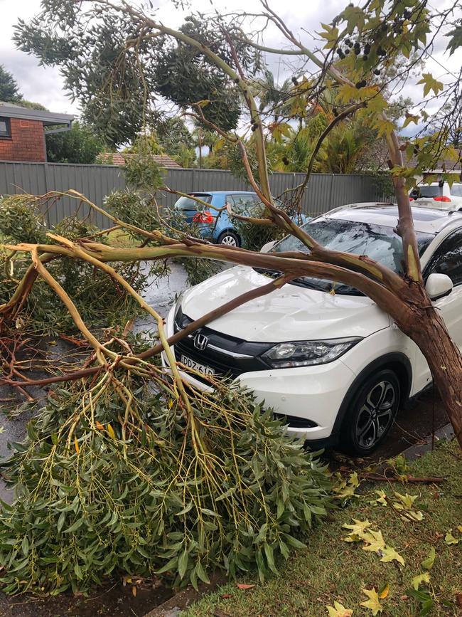 The SES has received more than 100 calls for help. Picture: Kristie Stubbs