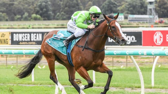 Shesallshenanigans will compete for another huge payday in Saturday’s $500,000 Sunlight Classic at Flemington. Picture: Racing Photos via Getty Images