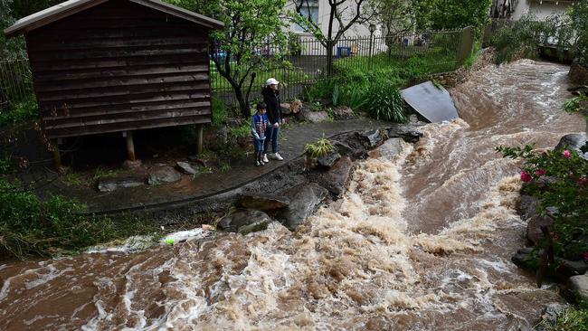 Felisa and Oscar watch the flow of Brownhill Creek at their home in Torrens Park. Picture Campbell Brodie.