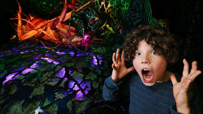 Ethan, 11, at the Bug Lab: Little Bugs, Super Powers exhibition at Melbourne Museum. Picture: Ian Currie