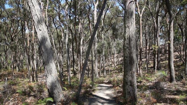 The search for missing woman Samantha Murphy has been scaled back in the Woowooksarung Regional park in regional Victoria. Picture: NCA NewsWire / David Crosling