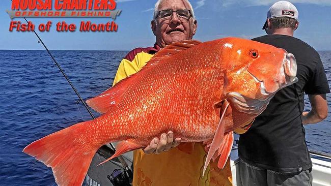 Gotcha - Dave Maybury from Yandina won the $200 Noosa Charters Fish of the Month prize with this red emperor which he boated on a Trekka 2 charter to Double Island Point. Picture: www.fishingnoosa.com.au