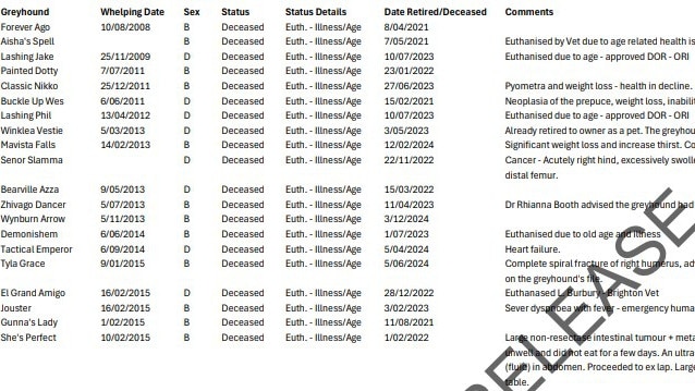 A snapshot of some of the euthanised greyhounds from 2021 to late 2024. Picture: NRE