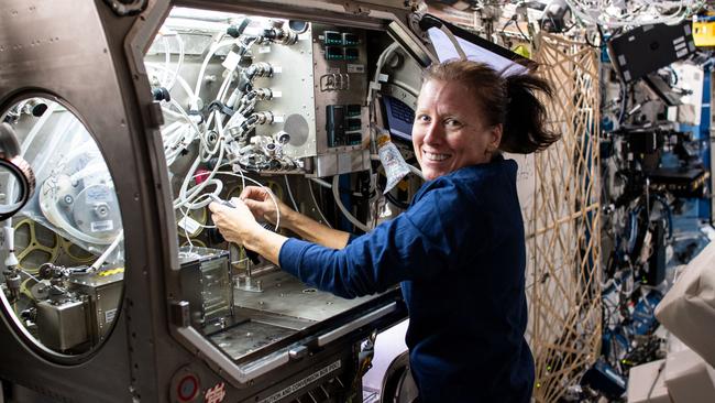 Dr Walker sets up hardware inside the Microgravity Science Glovebox for the Solidification Using a Baffle in Sealed Ampoules (SUBSA) experiment. SUBSA crystallizes melts in microgravity to learn more about the process of semiconductor crystal growth to benefit Earth and space industries. Picture NASA