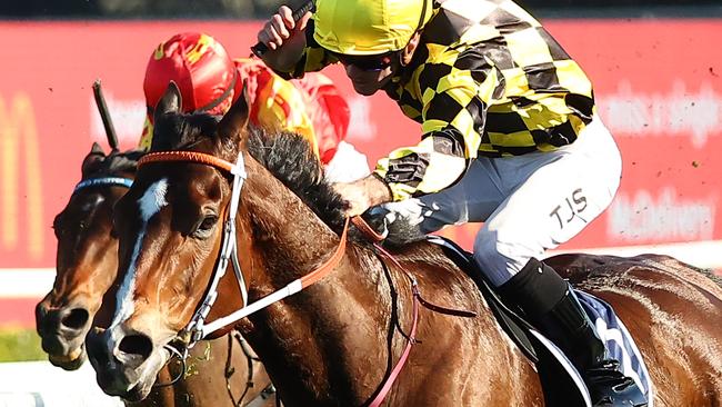 Tyler Schiller drives Remarque home a winner in the Concorde Stakes. Picture: Jeremy Ng–Getty Images