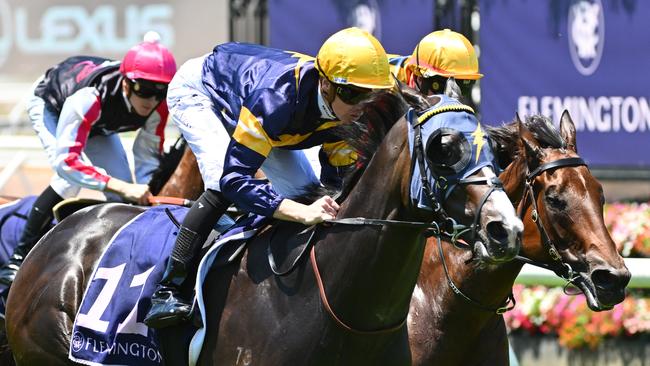 Snapper has won two jumpouts leading up to his racetrack return in Saturday’s Group 3 Standish Handicap at Flemington. Picture: Getty Images.