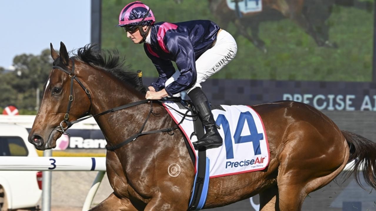 Sargent buoyed by Sea’s Group 1 potential