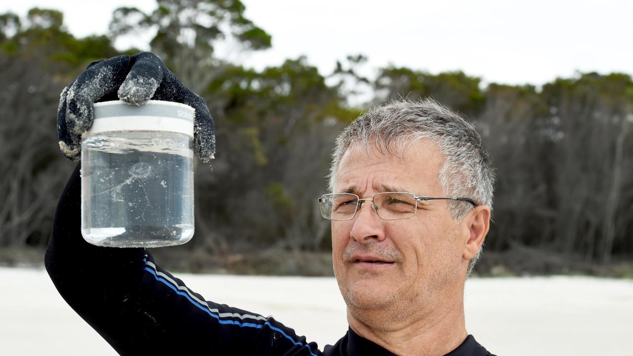 Jellyfish expert, Associate Professor Jamie Seymour with an Irukandji in 2017. Picture: Supplied