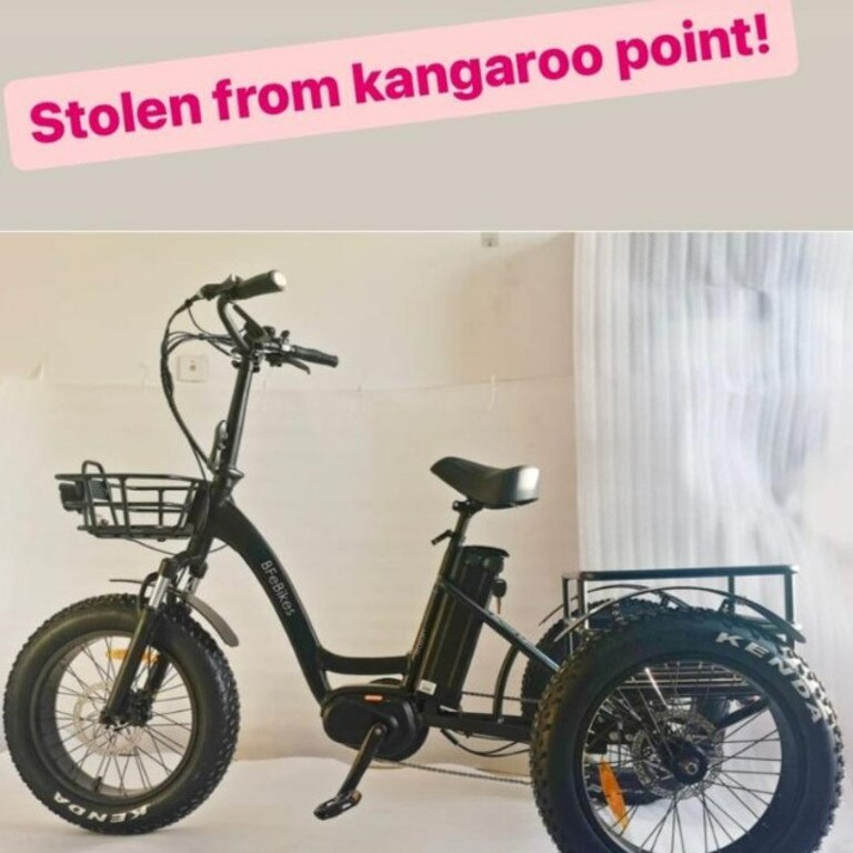 Her tricycle was stolen from her secure garage. Picture: Instagram