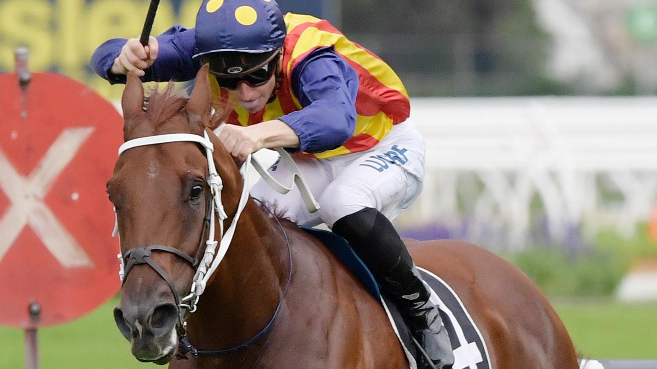 Hansen was at Rosehill to witness Nature Strip's win in The Galaxy last year. Picture: AAP