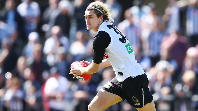 Darcy Moore controlled the air in the Collingwood defence.