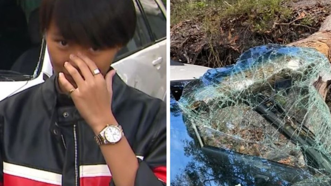 Schoolies speak after tree pierces windscreen