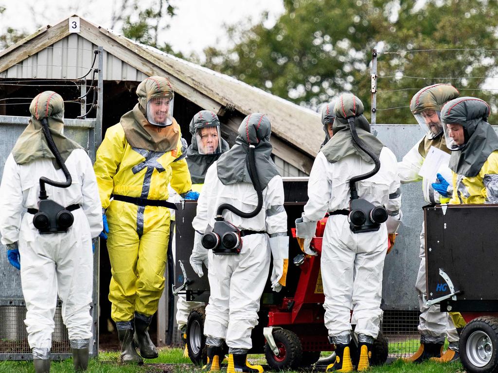 Danish Veterinary and Food Administration and Danish Emergency Management Agency workers during a mink culling operation in October. Picture: Henning Bagger / Ritzau Scanpix / AFP