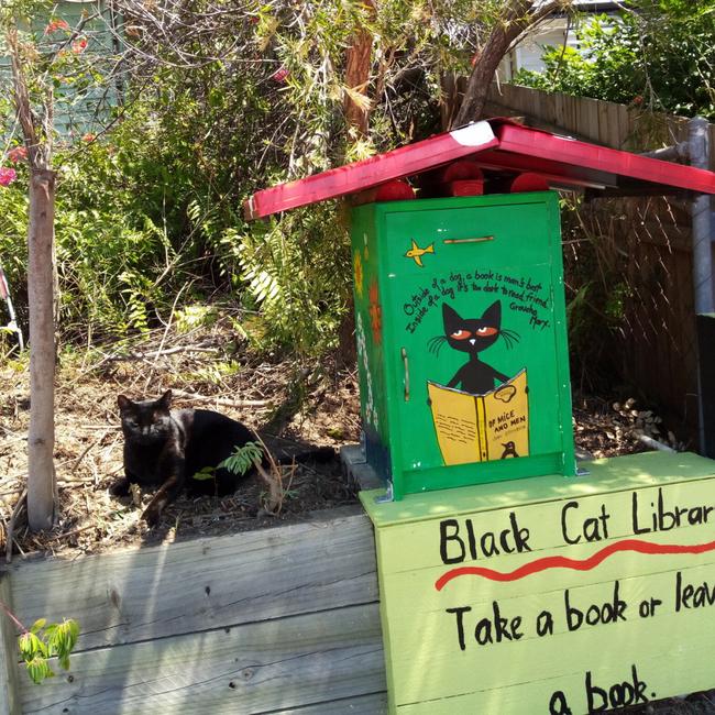 Black Cat Library was a bedside cabinet in a former life. Picture: Street Library Australia