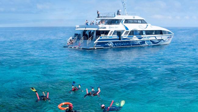 The Dutch tourist died during a trip to Norman Reef operated by Divers Den.