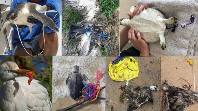 A petition to ban balloons in surf life saving clubs across NSW has racked up almost 15,000 signatures. Picture: Northern Beaches Clean Up Crew