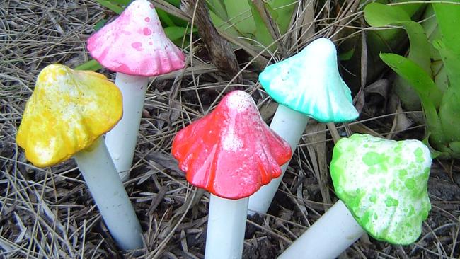 No, these aren’t real magic mushrooms. We thought in the circumstances it wasn’t appropriate to show what they actually look like...