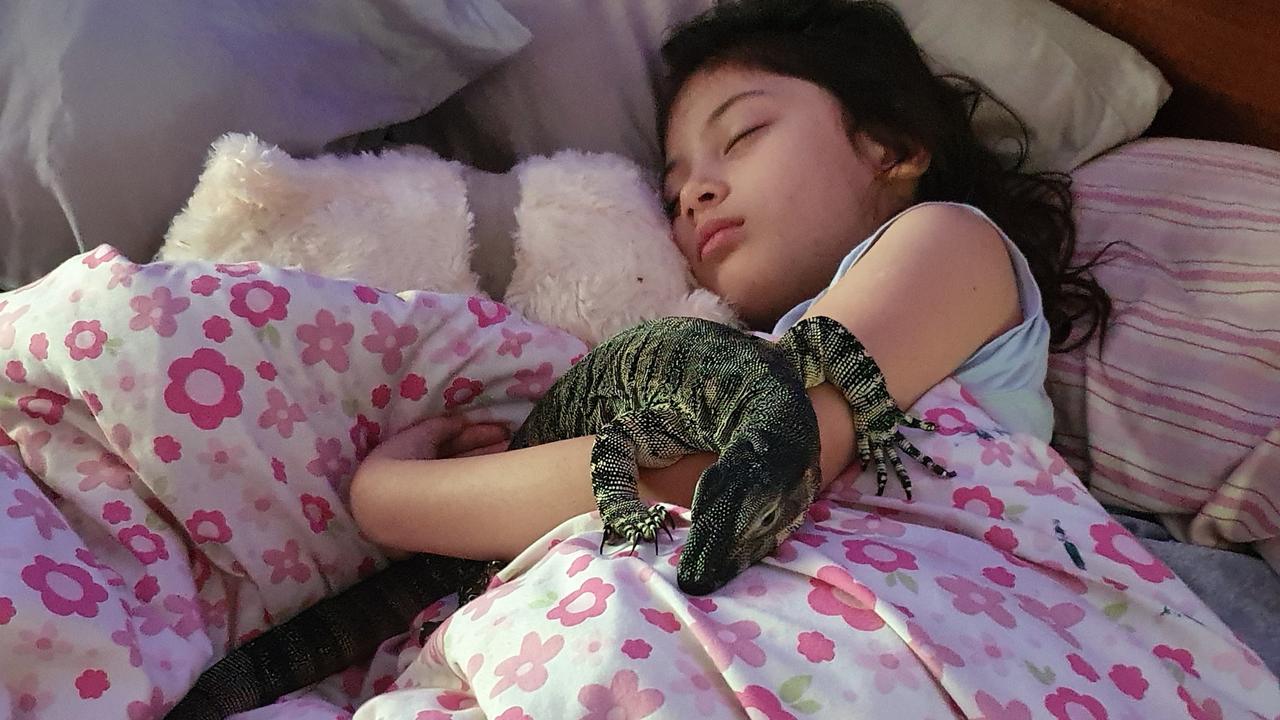 Beloved pet reptile makes ‘miracle’ return home