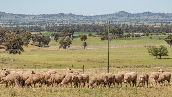 Tough times: Dropping membership was a concern for the board, both in terms of making sure they were representing farmers, but also for the financial health of organisation, VFF finance committee chair Andrew Dix said.