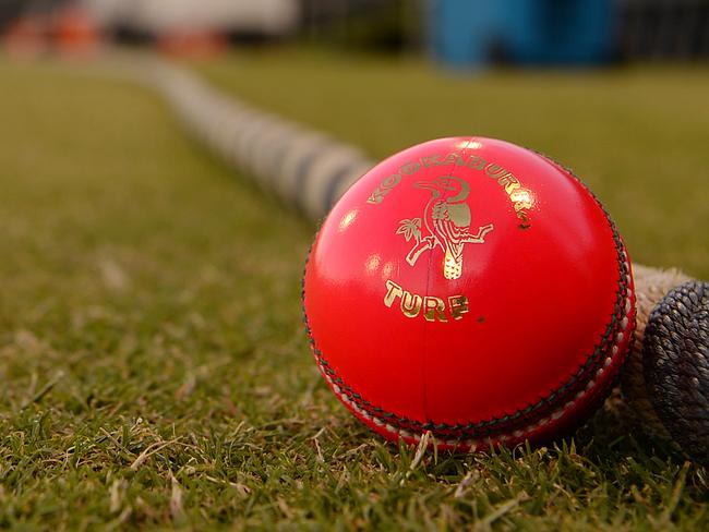 SPORT - Western Australia vs New Zealand, day/night tour match, using the pink ball. Photo by Daniel Wilkins. PICTURED-
