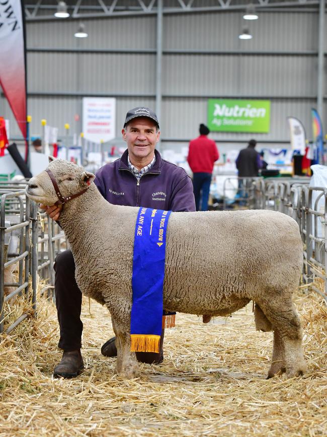 Chandpara Southdowns, champion Southdown ram with Andrew Sellars-Jones from Kyneton. Picture: Zoe Phillips