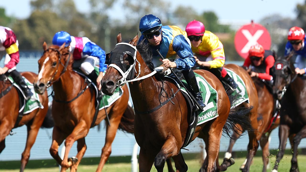 Horse racing tips: Best bets for Wyong on Wednesday December 13 | Daily ...