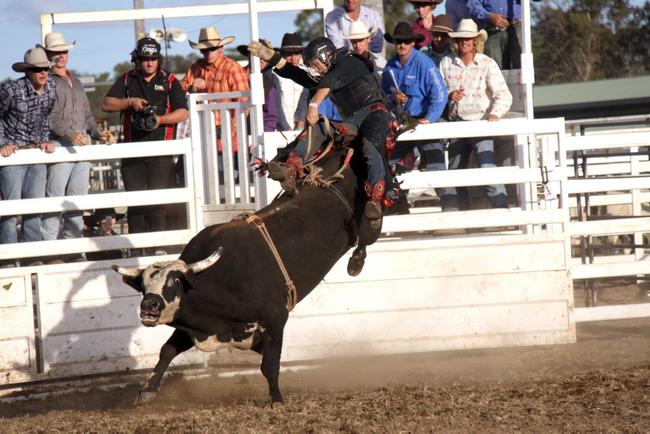 Ryan Dickens holds on in the bull ride before being spat off.