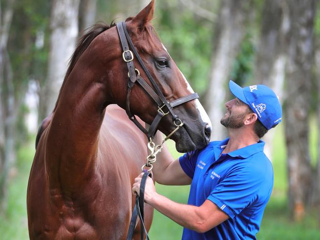 Mare Sexy Eyes and Gold Coast foreman Paul Shailer from Chris Waller's Gold coast stables, go for a stroll. Picture Glenn Hampson