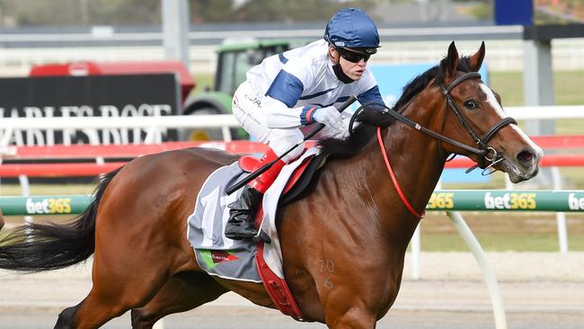 November Dreaming can get punters off to a winning start on Oaks Day. Picture: Getty Images