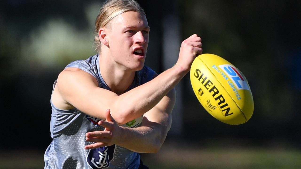 Young Docker Hayden Young is flying under the radar.