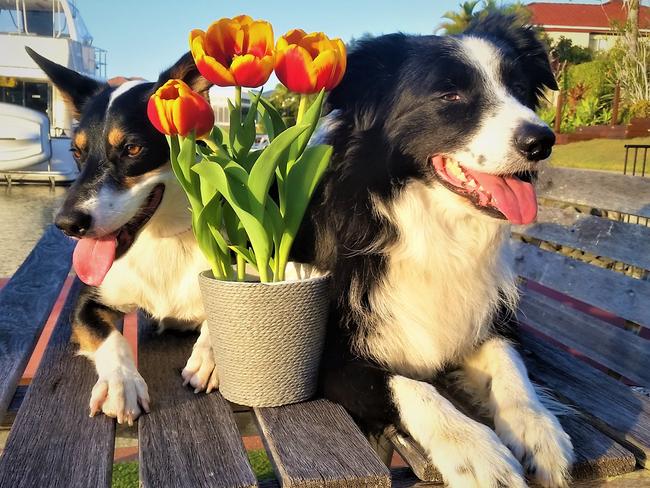 PEPPER  CHAMP: Soaking up the spring sun at Oyster Cove, this duo can’t wait for the warmer weather.