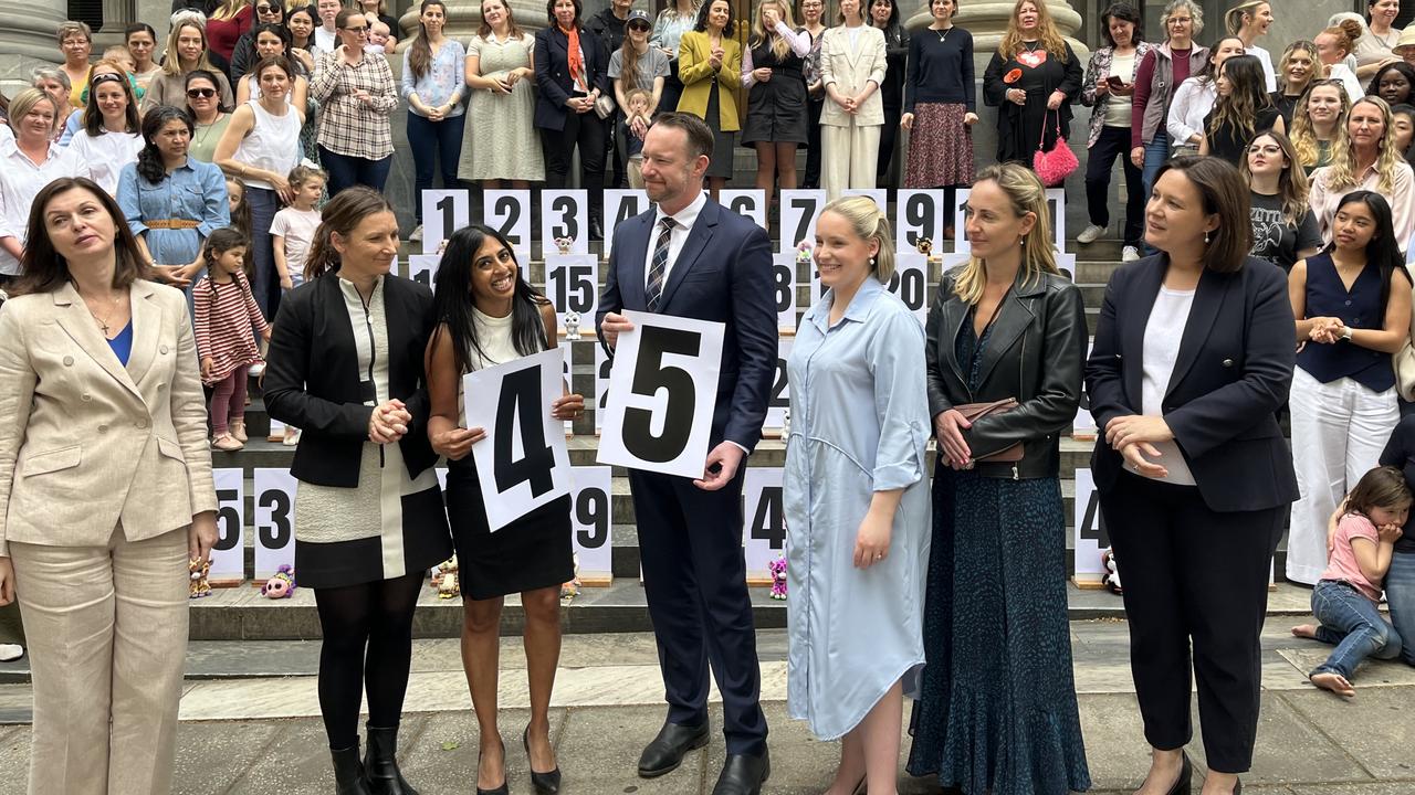 Nicola Centofanti, Professor Joanna Howe, Ben Hood, Laura Henderson, Sarah Game and Heidi Girolamo at a rally on the steps of parliament. Picture: Paul Starick