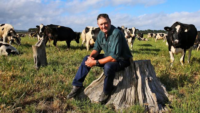 13/11/2015 Fourth-Generation dairy farmer Mark Billing sits in a paddock with some of his cows on his property near Colac, 150km south west of Melbourne. Mark supplies milk to Fonterra, which is making significant investments in the infant formula market. While he's cautionously optimistic about the role of China for the industry he says farmers are still waiting to see the benefits of the supposed formula boom.