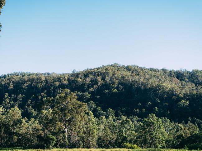 Aussie Ark has a sanctuary in Barrington Tops where it wants to establish “insurance populations” of endangered wildlife. Picture: Aussie Ark