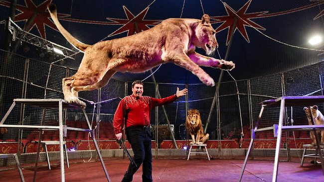 Activist claims Lennon Brothers Circus beat their animals | news.com.au ...