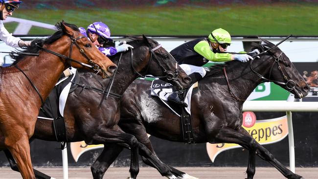 Persan is in the Melbourne Cup after winning the Bart Cummings at Flemington. Picture: Getty Images