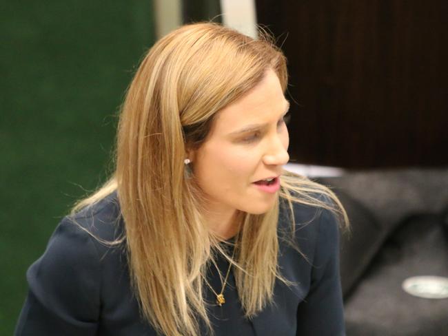 Independent MP Kristie Johnston delivers her maiden speech in parliament.