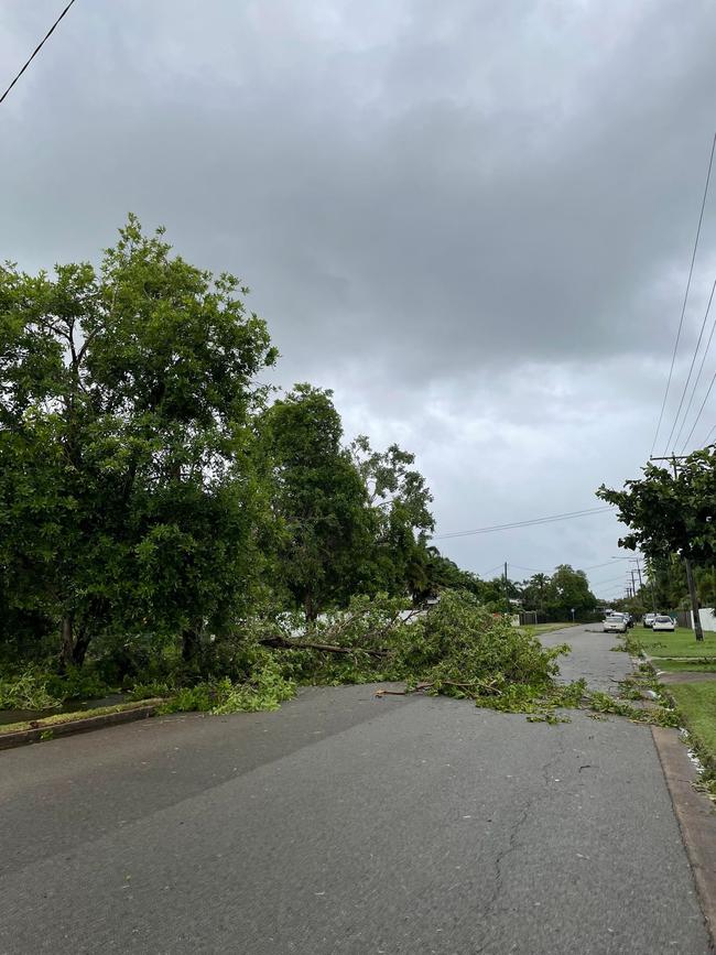 Tropical Cyclone Kirrily 2024: Trees fallen across the suburb of Kelso.