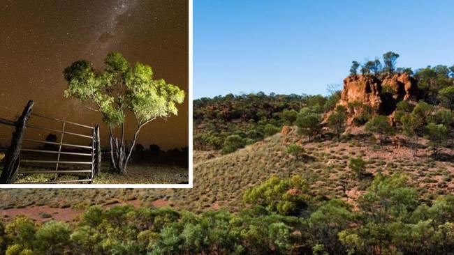 The Queensland Government has bought a 350,000 hectare cattle station to save an endangered creature.