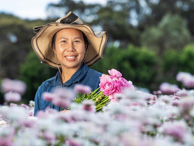 NEWS: Prue Maiden Farm with June WeirJune Weir has a flower farm in Maiden Gully.PICTURED: June Weir on her flower farm in Maiden Gully.Picture: Zoe Phillips