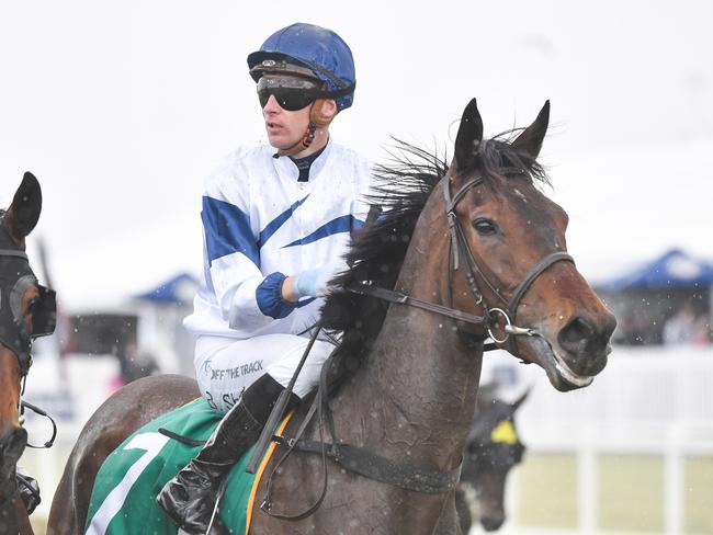 Served Cold ridden by Blake Shinn returns to the mounting yard after winning  the Roderick Insurance Brokers 3YO Geelong Classic at Geelong Racecourse on October 25, 2023 in Geelong, Australia. (Photo by Pat Scala/Racing Photos via Getty Images)