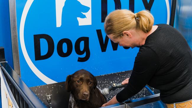 DIY Dog washes are available at selected Pets Domain stores, including the Gracemere Store. A list can be found at https://petsdomain.com.au/pages/diy-dog-wash.